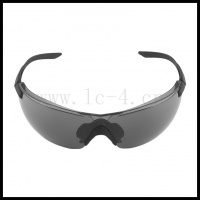 W810 glasses